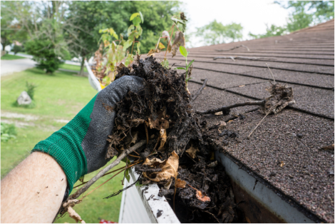 Handyman, repair service, Gutter cleaning